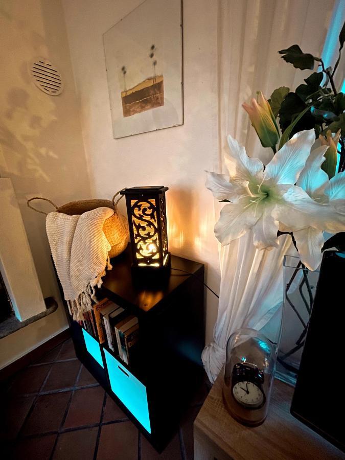 洛迦诺Residenza Valentino公寓 外观 照片